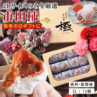 【送料無料】敬老の日 干し柿 ギフト 市田柿 極 2Lサイズ 12個入 長野県産 個包装 プレゼント | 国産 ワ…