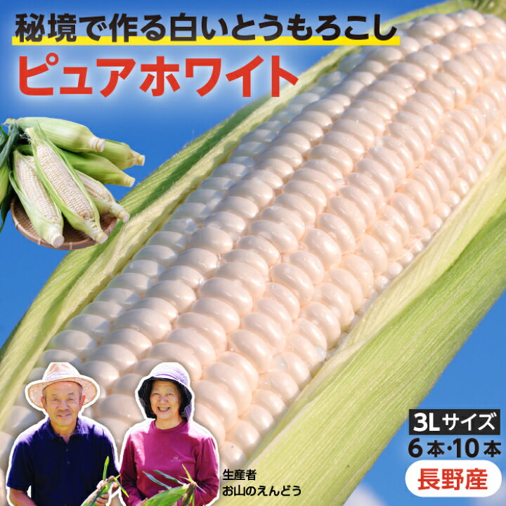 楽天市場】【送料無料】とうもろこし 長野県産 ピュアホワイト 3L 6本 