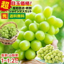 【即日発送中】楽天グルメ大賞受賞！ シャインマスカット 秀品 1kg 1.2kg 2房 ぶどう 送料無料 山梨 長野産 産地厳選 皮ごと食べられる 種なし 1房あたり約500～600g ブドウ | 高糖度 シャイン マスカット 甘い 果物 ギフト プレゼント のし 贈答 旬の味覚 フルーツ 2025