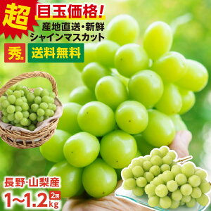 yVO܎܁I VC}XJbg Gi 1kg 1.2kg 2[ Ԃǂ  R Y YnI 炲ƐHׂ Ȃ 1[500`600g lC uhE | x VC }XJbg