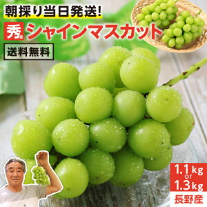 yzVC}XJbg  1.1kg 1.3kg Gi 2[ Yn ̂  Ԃǂ 炲ƐHׂ lC uhE ㌴ | ȂԂǂ 쌧Y x VC MBԂǂ Yn