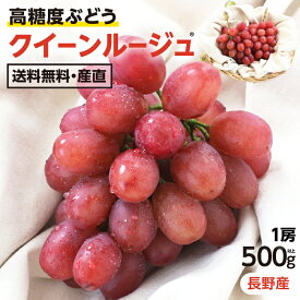 【送料無料】ぶどう クイーンルージュ 約500g 1房 秀品 産地厳選 長野産 シャインマスカットを親に持つ高糖度ぶどう！ 産地直送 皮ごと食べられる 大人気ブドウ 種なし 新品種 | 赤ぶどう ルージュ ブドウ 甘い ギフト プレゼント フルーツ 予約 信州産 2025