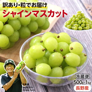 yzVC}XJbg 󂠂 Y 500g 1kg ^Cv Hׂ₷ Yn Ԃǂ 炲ƐHׂ lC uhE ̍t@[ | Ȃ  ⑺ YҎw x VC