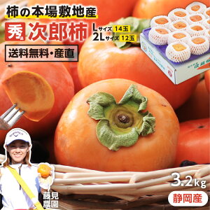 【送料無料】静岡県産 次郎柿 秀品 大玉 約3.2kg Lサイズ14玉 2Lサイズ12玉 種無し柿 種なし柿 甘柿 柿 産地直送 産地厳選 次郎柿の本場 敷地産 高い糖度 -S10G 藤見農園 | 柿 贈答 ギフト プレゼン