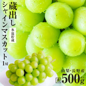 【送料無料】蔵出し シャインマスカット 1房 約500g 秀品 氷温貯蔵 山梨・長野産 御年賀 ギフト 大房のみを厳選！ 産地直送 皮ごと食べられる 大人気ブドウ 種なし ぶどう | 高糖度 シャイン マスカット ブドウ 果物 贈り物 贈答 クリスマス プレゼント フルーツ 2026
