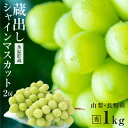 【送料無料】 蔵出し シャインマスカット お歳暮 ギフト 一房約500g！ 大房 約1kg 2房 秀品 氷温貯蔵 山梨・長野産 産地直送 皮ごと食べられる 大人気ブドウ 種なし ぶどう | 高糖度 シャイン マスカット ブドウ 果物 贈り物 プレゼント フルーツ 御歳暮 贈答 2025