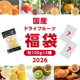 【送料無料】国産ドライフルーツ 福袋 約100g× 3種 新春特価！通常価格 2,970円がなんと！2,026円 山下屋荘介 自慢のドライフルーツ 1番人気のレモンは確定！残り2種は届いてからのお楽しみ♪