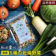 【送料無料】乾燥野菜 国産 私の楽ベジ 100g 5種の国産野菜 ドライ野菜 長期保存 干し野菜 乾燥野菜ミッ…