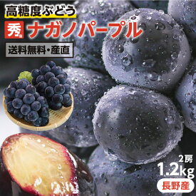 【送料無料 予約】ぶどう ナガノパープル 秀品 約1.2kg 2房 大房 選べる 長野産 産地直送 高糖度 種無し 皮ごと食べれる | 巨峰とリザマートから誕生 長野オリジナル 黒ぶどう フルーツ 果物 贈答 ギフト お取り寄せ 旬の果物 葡萄 ブドウ 長野パープル 2026