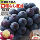 【送料無料】ぶどう 巨峰 種なし 約1kg 2房 秀品 山梨産 ブドウ 産地厳選 日本一のぶどう産地 山梨県牧丘町産限定 一…