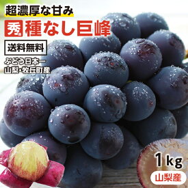 【送料無料】ぶどう 巨峰 種なし 約1kg 2房 秀品 山梨産 ブドウ 産地厳選 日本一のぶどう産地 山梨県牧丘町産限定 一房あたり約400～600g 大人気ブドウ 種無し | 高糖度 巨峰 葡萄 果物 高級 おいしい 美味い フルーツ 種無し巨峰 上品な香り 濃厚な甘さ 予約 2026
