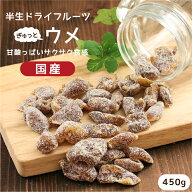 【送料無料】国産 ドライフルーツ 梅 450g サクサクとした甘酸っぱいおいしさ 厳選素材 群馬県産 白加賀…