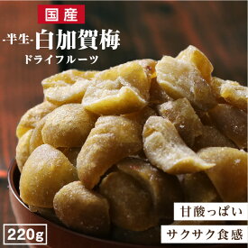 【送料無料】国産 ドライフルーツ 梅 220g サクサクとした甘酸っぱいおいしさ 群馬県産 白加賀梅 | ドライ梅 ドライうめ うめ ウメ 大容量 お得用 南信州菓子工房 半生ドライ 果物 フルーツ フォンダンウォーター おやつ お菓子 無香料 着色料不使用 国産