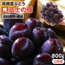 ＼数量限定／【送料無料】ぶどう 富士の輝 約800g 1房 Sクラス 秀品 希少ぶどう 産地厳選 山梨産 高糖度ぶどう ブラッ…