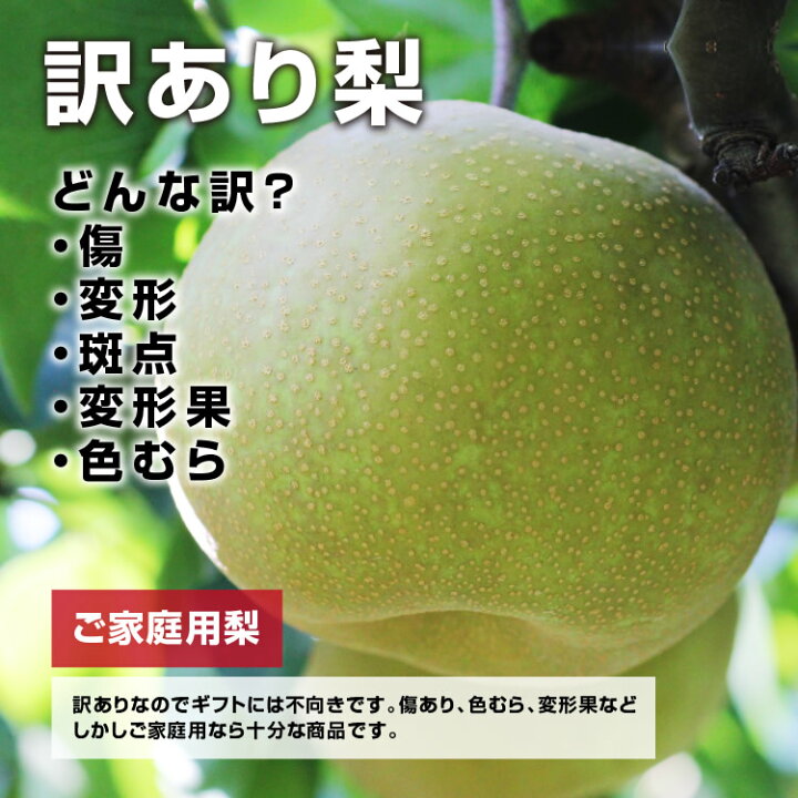 ☆日本の職人技☆ 訳あり梨 石川県産 5kg 箱含め