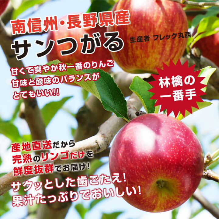 楽天市場】【送料無料】長野県産 りんご 5kg つがる 秀品 りんごの一  