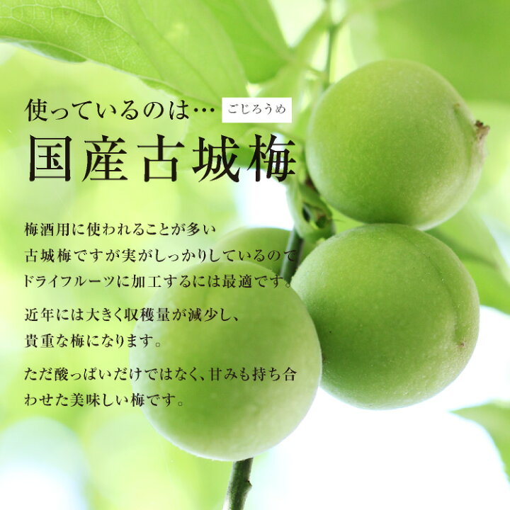 楽天市場 送料無料 国産 ドライフルーツ 梅 小袋 30g サクサクとした食感 甘酸っぱいおいしさ ドライ梅 ドライうめ 古城梅 うめ ウメ 半生ドライ プレゼント ドライフルーツ 果物 フルーツ 南信州菓子工房 プチギフト フォンダンウォーター お菓子 乾燥果実