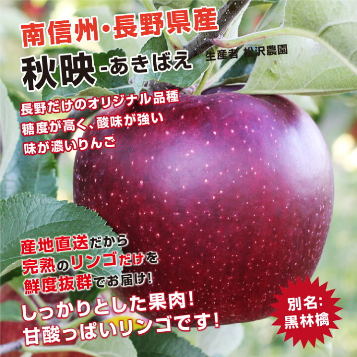 楽天市場 送料無料 長野産 りんご 秋映 5kg 秀品 産地直送 葉とらずリンゴ リンゴ 林檎 信州 フルーツ 旬のフルーツ 贈答品 贈り物 お取り寄せ 旬の果物 ギフト 千秋とつがるから生まれたりんご 黒りんご 山下屋荘介