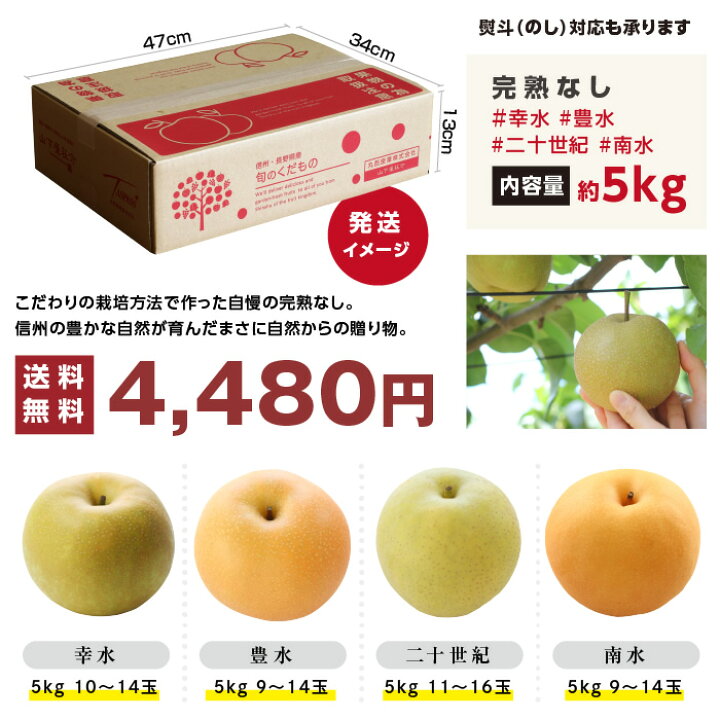 長野県産<br>南水梨３ｋｇ５Ｌ〜Ｌ<br>６〜１１玉（220_梨25）