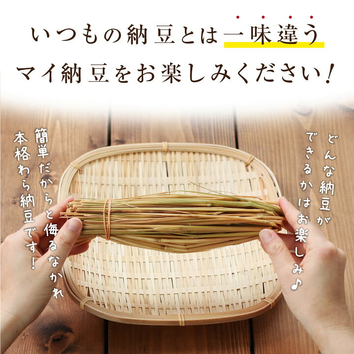 【送料無料】春休み 手作り納豆キット ねぇ。納豆つくろうよ。2本入り 長野県産 おうちで簡単に納豆が作れる 自由研究 大豆 わら 作り方説明書付 納豆手作り キット | 納豆 食育 小学生 わら納豆 国産 納豆菌 わらつと 発酵食品 おうち時間 手作り 腸活 食品 2026 - メイン画像 6