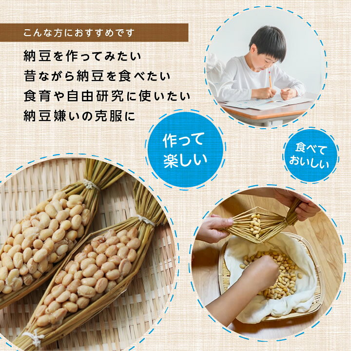 【送料無料】春休み 手作り納豆キット ねぇ。納豆つくろうよ。2本入り 長野県産 おうちで簡単に納豆が作れる 自由研究 大豆 わら 作り方説明書付 納豆手作り キット | 納豆 食育 小学生 わら納豆 国産 納豆菌 わらつと 発酵食品 おうち時間 手作り 腸活 食品 2026 - メイン画像 12