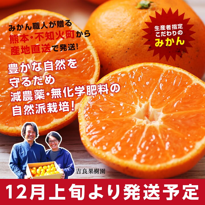楽天市場 送料無料 熊本産 みかん 3kg 訳あり S Lサイズ混合 産地直送 吉良果樹園 減農薬栽培 化学肥料不使用 幸せみかん ミカン 蜜柑 興津早生 肥後早生 ひのみらい 生産者指定 ご家庭用 自宅用 お買い得 訳あり品 果物 フルーツ お歳暮 平均糖度12度 おいしい 楽天市場 送料無料 熊本産 みかん 3kg 訳あり S Lサイズ混合 産地直送 吉良果樹園 減農薬栽培 化学肥料不使用 幸せみかん ミカン 蜜柑 興津早生 肥後早生 ひのみらい 生産者指定 ご家庭用 自宅用 お買い得 訳あり品 果物 フルーツ お歳暮 平均糖度12度 おいしい