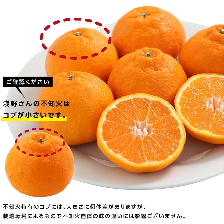楽天市場】【送料無料】愛媛県産 不知火 秀 5kg 自慢の樹上完熟品 L 
