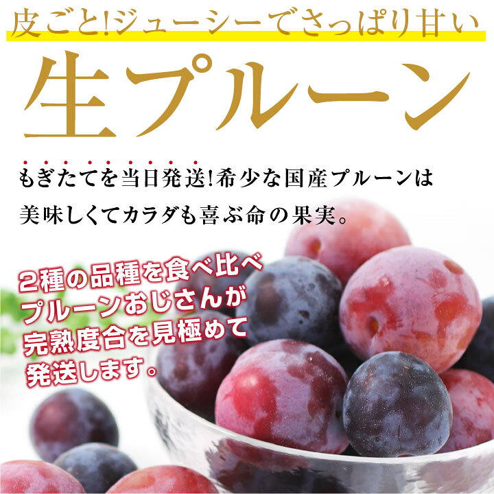 28専用 長野県産プルーン ニューシュガー 通販