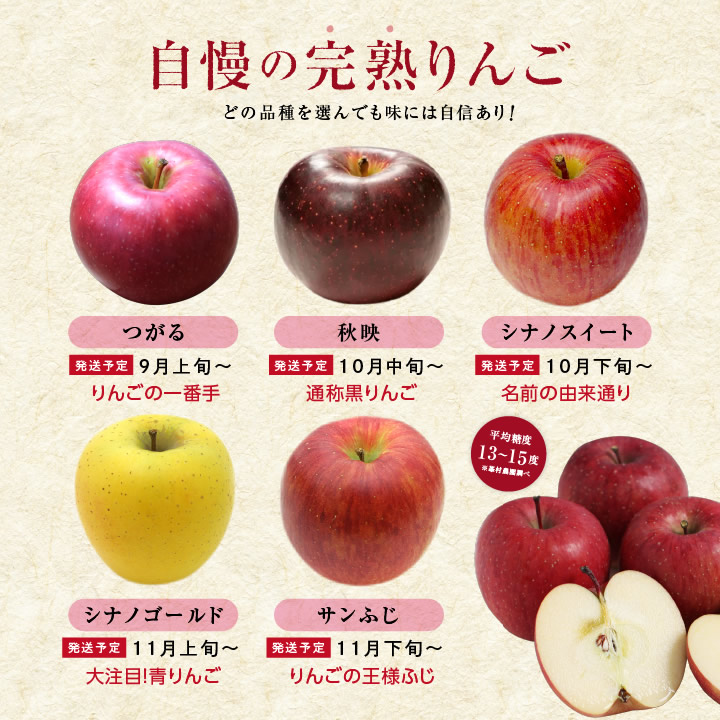 長野県産 りんご 秀品 つがる 峯村農園 3kg 8〜12玉 送料無料