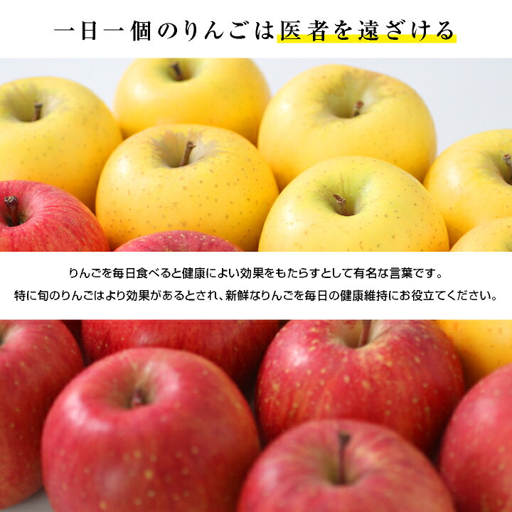 楽天市場】クーポンで20%OFF【送料無料】青森県産 りんご ゆきむろ 