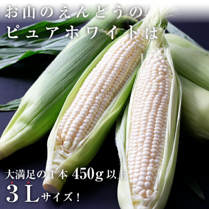 楽天市場】【送料無料】とうもろこし 長野県産 ピュアホワイト 3L 6本 