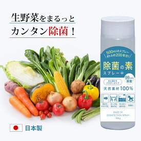 楽天市場 除菌スプレーの作り方 手の通販