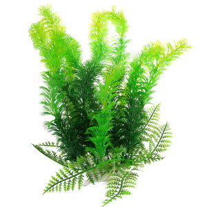    ANZT[ A I[ig vX`bNA i 蕨