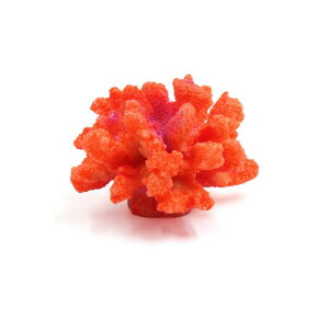 lH  p  I[ig vX`bN IW