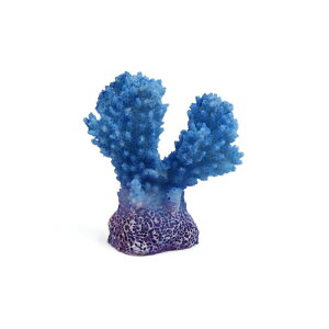 lH  p  I[ig vX`bN u[