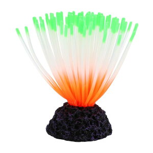 VOCOSTE كAll \tgVR O[CO u lHTS ̑p O[ 18.5 cm