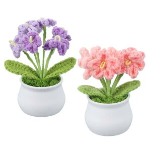 PATIKIL NVF 2 ҂ݕNVFԖYȑAԒaԃMtgz[fR[V Of[Vp[v/Of[VsN