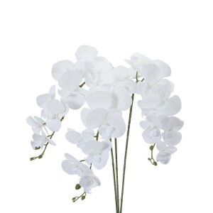 PATIKIL   CeA Ӓ ԑ 105cm 3{ A^b` tFCNt[  ԕr z[  LO fR[Vp s AzCg