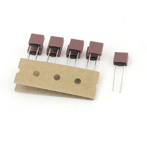 �q���[�Y 10���� T2A 2A 250V TE5 / 5TE �~�j�`���A�}�C�N���X���[�u���[