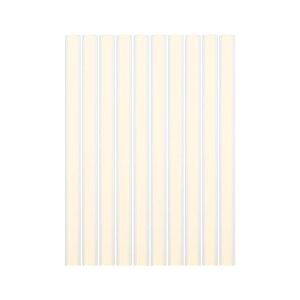 X AUTOHAUX zbggO[XeBbN EVA h fgyA jo[T J[ I[gp  7x100 mm 10