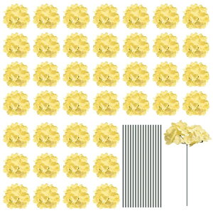 VNAWTC ԃwbh Xet tAWTCt[Y Z^[s[X p[eB[̑p 30Zbg CG[