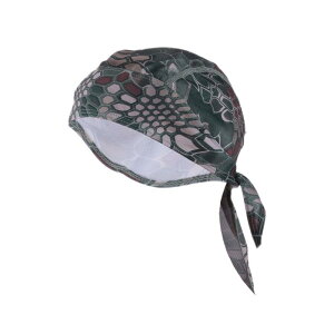 Hihaha TCNOp Xq z  C n[hnbgCi[ oCNVNbVn O[ 27x34cm 1