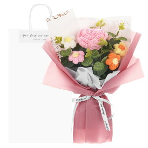 M METERXITY ҂݉ԑ MtgobOt lHo DIYz[fR[V/a//o^Cf[[sN]