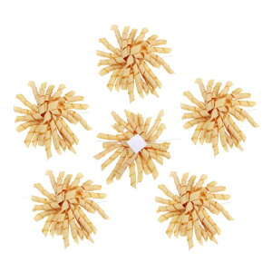 Mtgp4C`̃J[[{ 6̃ZtAhw[VucC Xg^COO{{E g[gobONX}XaMtg{bNXp[eB[tFCo[fR[V 