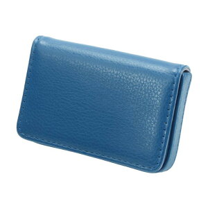 CAPASTEC h Y hP[X e J[hP[X oȒP  Vv AEj Mtg jp 1 