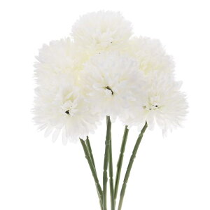 M METERXITY 6 lHLN{[  11" tFCNAWTCVNu[P A^b` tFCNt[ ƒ//NX}X/p[eB[/K[fItBXp[N[zCg]