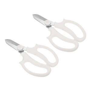 PATIKIL K[f͂ A؂΂ ԃoT~ 2{ Sn悢nht Ap zCg