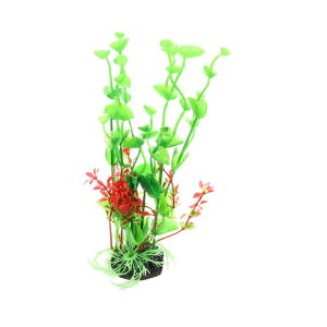 VOCOSTE كvX`bNA lH ّ Ap 1 O[ 20 cm