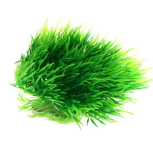 VOCOSTE lHكOX{[  vX`bN ^ iσV~[VAp 1 O[ 8x14.5 cm