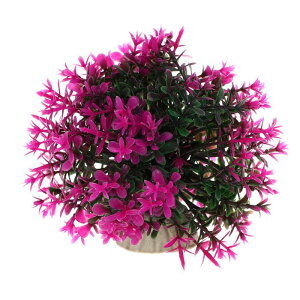 VOCOSTE lHكOX{[  vX`bN ^ iσV~[VAp 1 _[NO[ p[v 9.5x9.5 cm